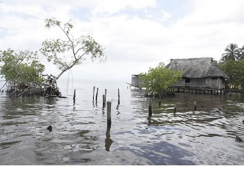 Life On The Water  Panama Print | Island Art Bocas